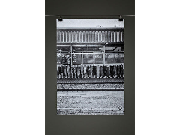 LUCJA ROMANOWSKA ° CLARITY N°4