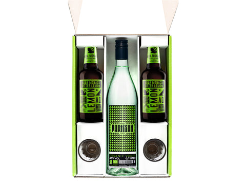 Geschenkbox Vodka mit Fillern und Gläsern